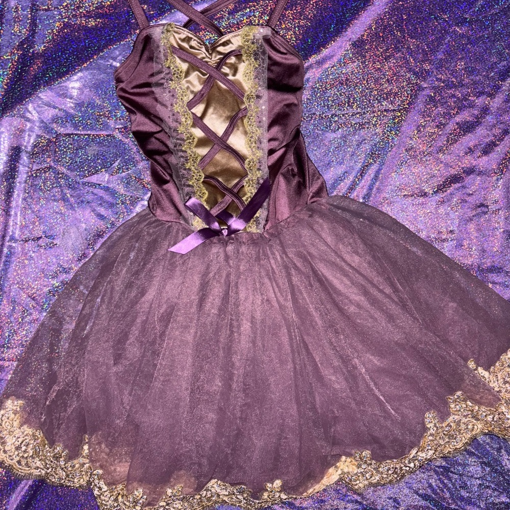 Weissman Costume Dance Dress